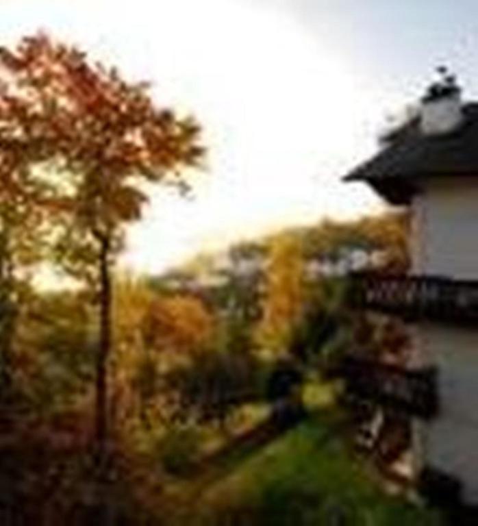 Hotel Du Lac Mont-Tremblant Bilik gambar